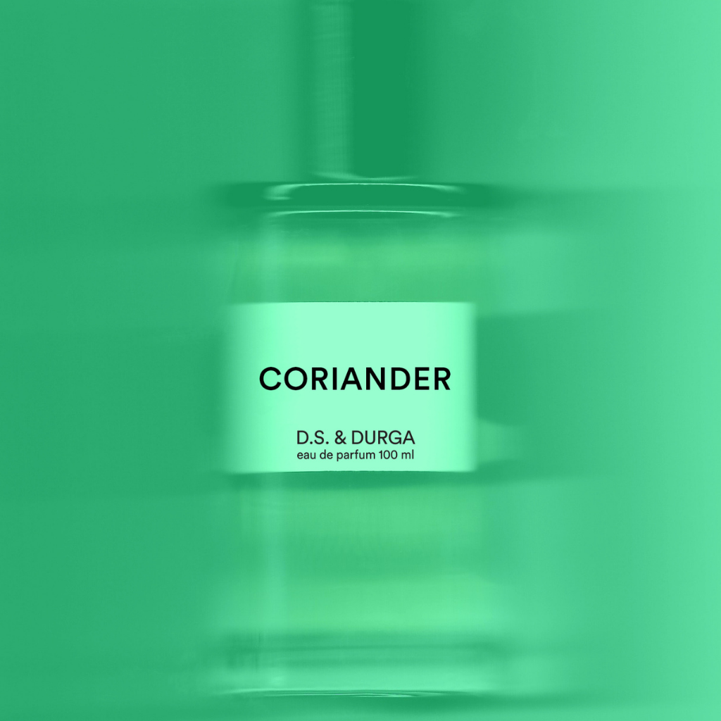 Coriander