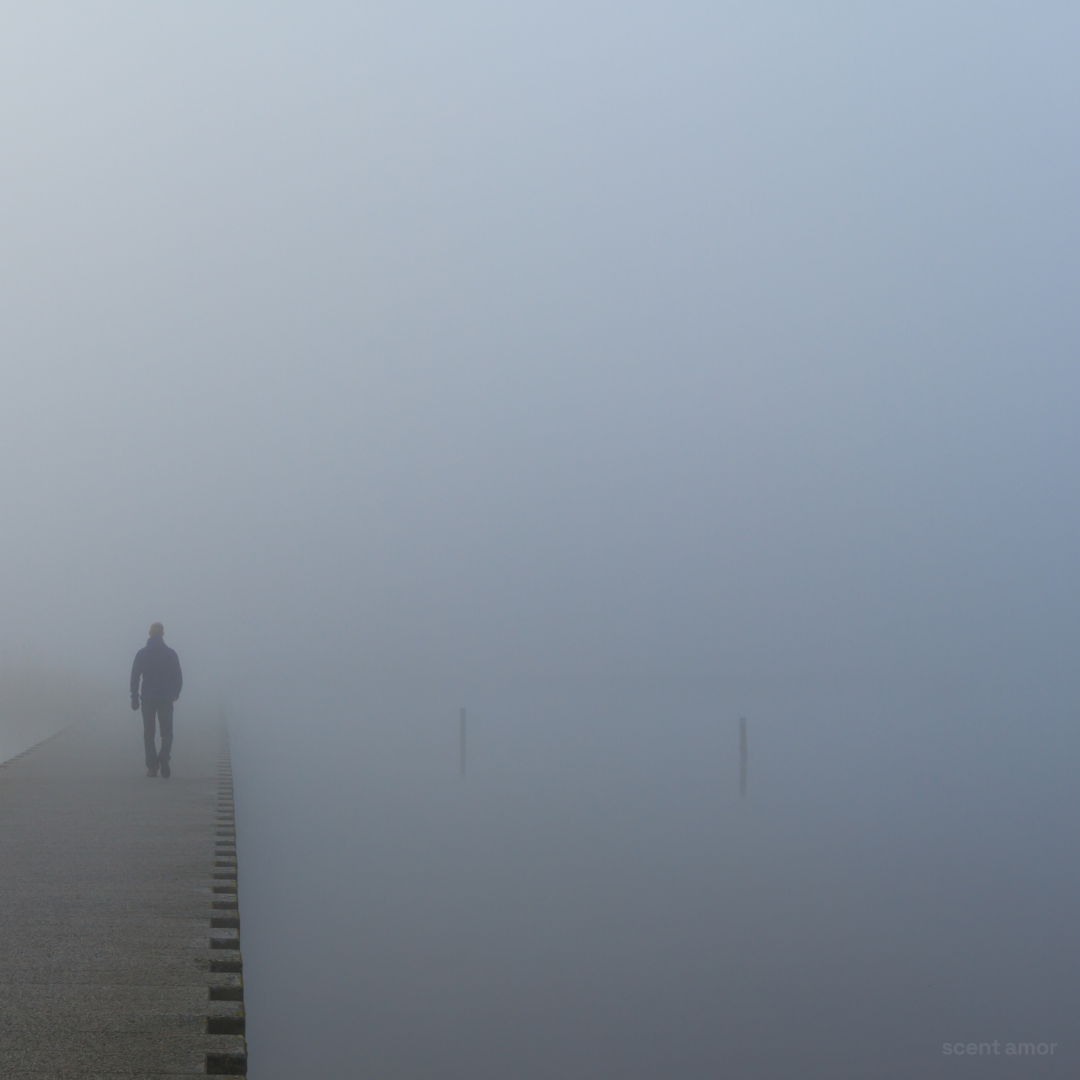 NEBBIA SPESSA