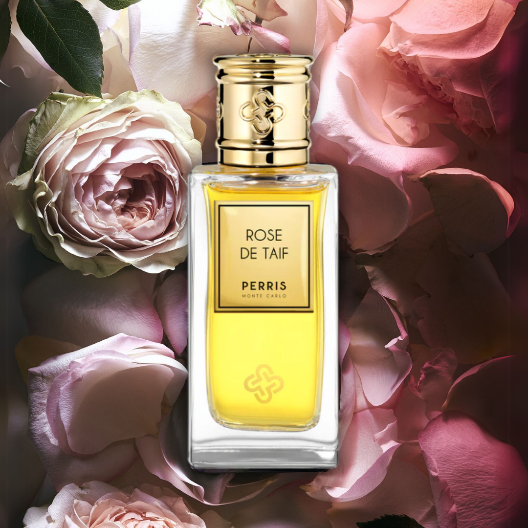 Rose de Taif