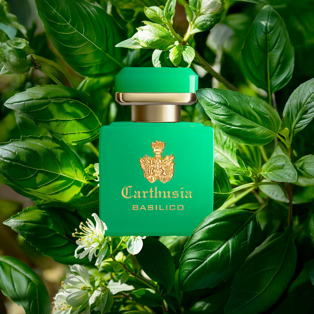 Carthusia Intenso di Basilico Eau de Parfum Flacon auf Basilikum   